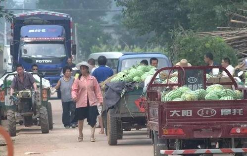 寿县吃瓜群众事件,一场网络舆论的风暴与反思