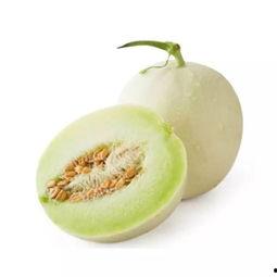 白色蜜瓜怎么吃,解锁夏日清新美味
