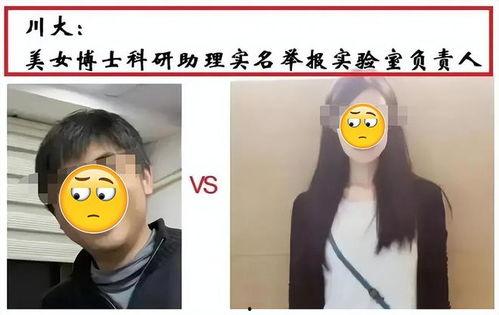 女博士的瓜哪里吃,探寻学术圈里的甜蜜与苦涩