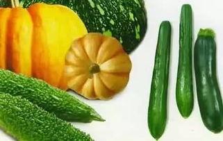 飞奔吃瓜,揭秘娱乐圈的疯狂瞬间