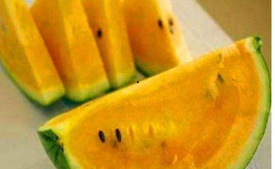 吃黄瓤瓜好吗,黄瓤瓜的营养价值与食用益处解析