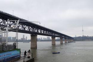 吃瓜酸雨大桥,吃瓜群众的见证与反思