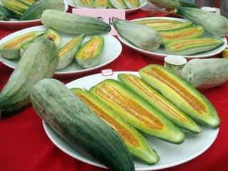 吃一天酥瓜,尽享清爽滋味的一天