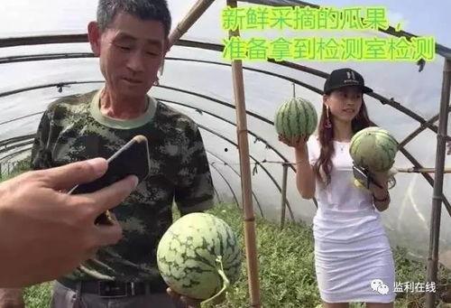 夜宵吃不完吃瓜直播,吃瓜直播新潮流