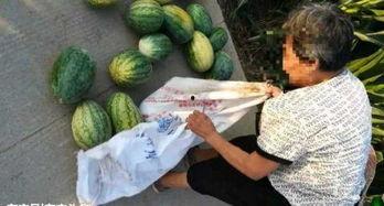 邵阳近期热门吃瓜事件,揭秘近期热门吃瓜事件背后的真相