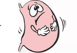 吃瓜胃舒服,夏日消暑新选择