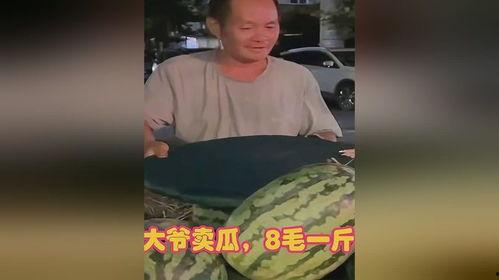 优雅吃瓜大爷视频下载,揭秘视频下载背后的精彩故事