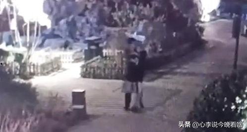 泗阳吃瓜事件视频,一场引发热议的网络风波