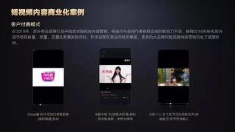 吃瓜白皮书的视频,一场视觉盛宴的幕后故事