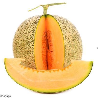 螳螂可以吃哈密瓜吗视频